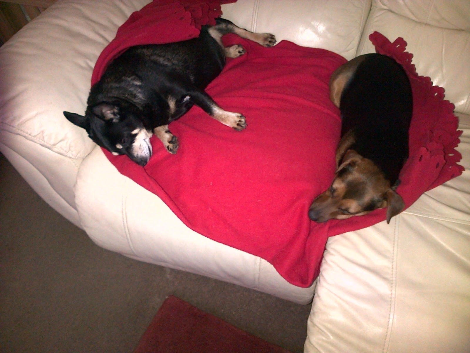 Me and Foofy asleep