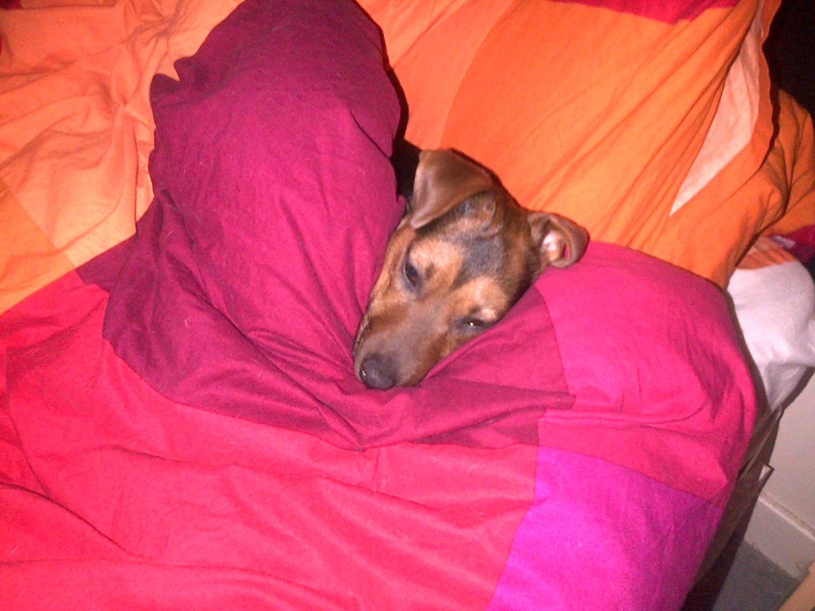 This is me having a lie in