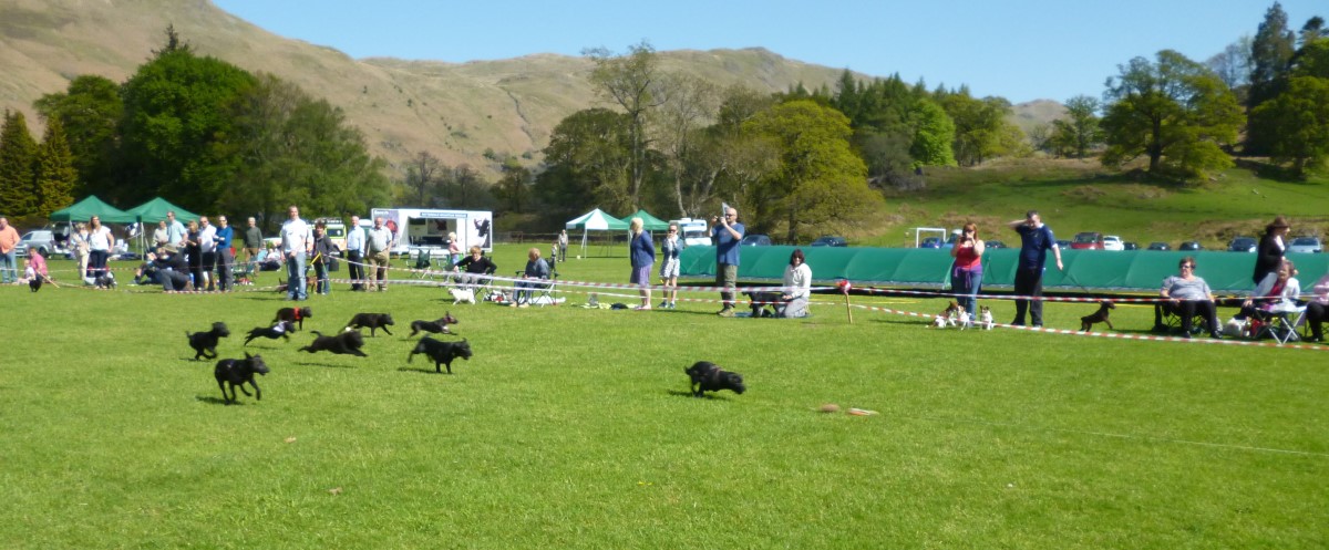 Lure Racing