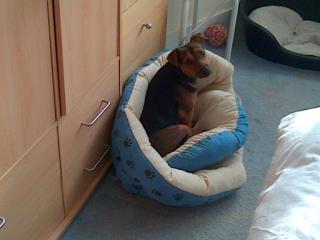Me in Foofy's Bed