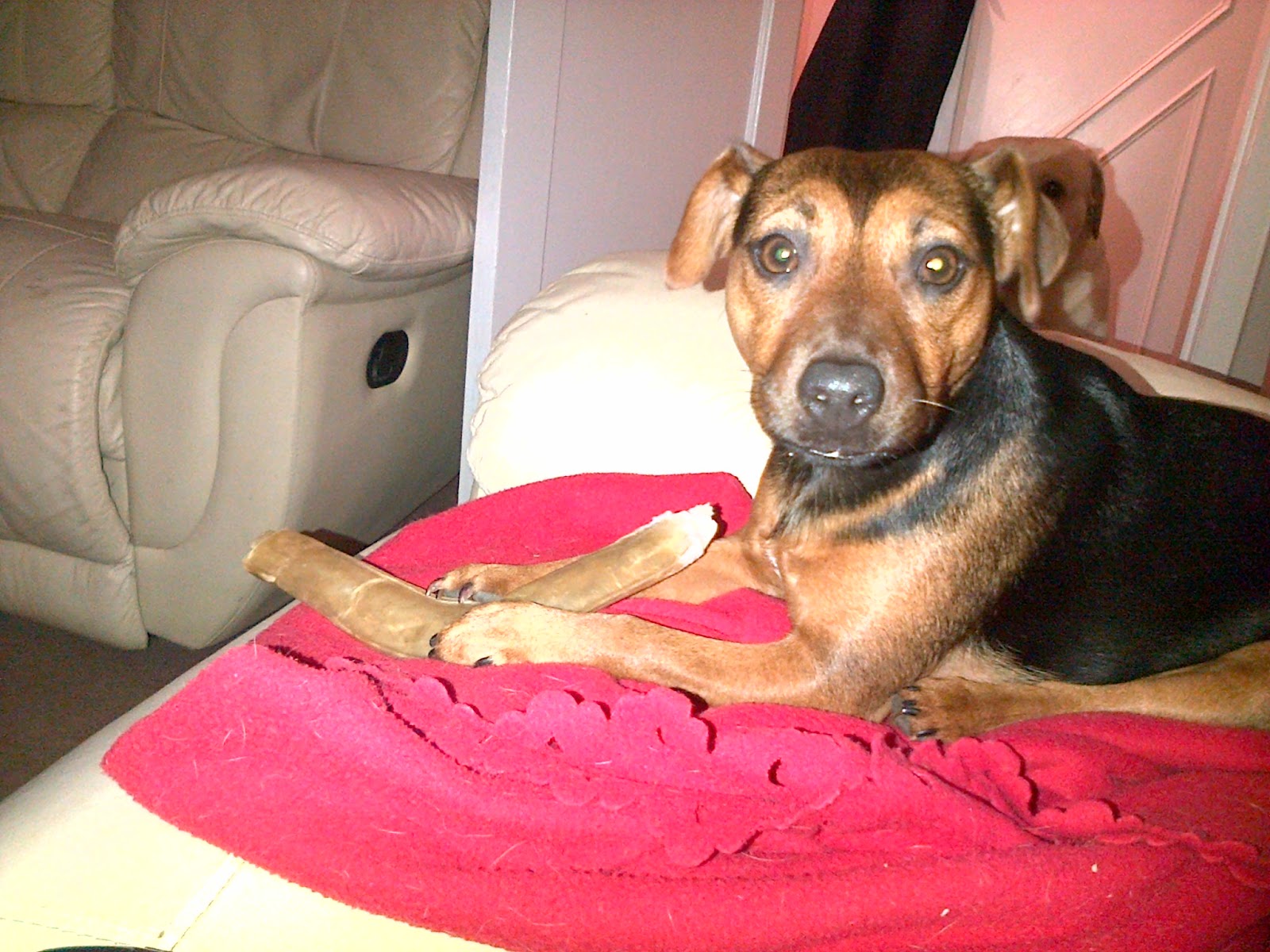 Me with my bone