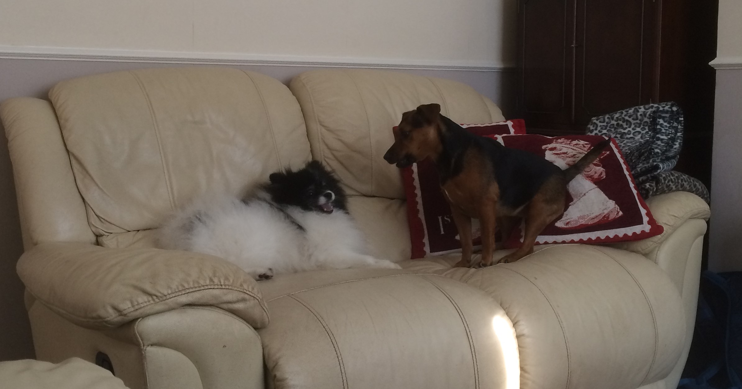 Asking Moriz to play