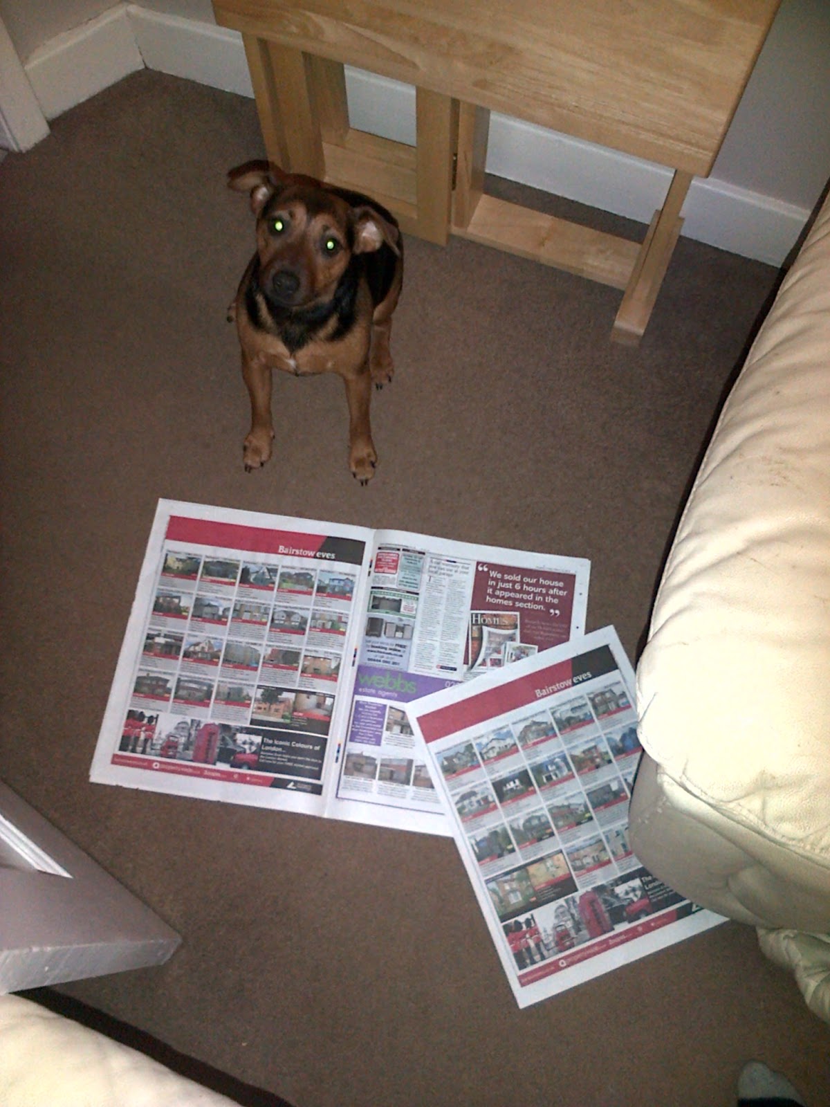 Newspapers