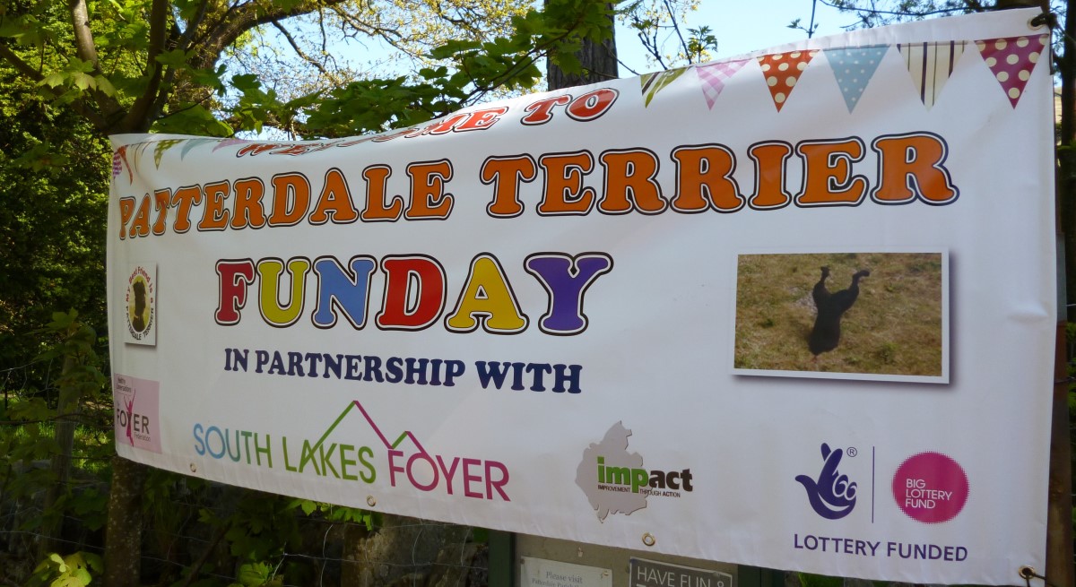 Patterdale Terrier Fun Day