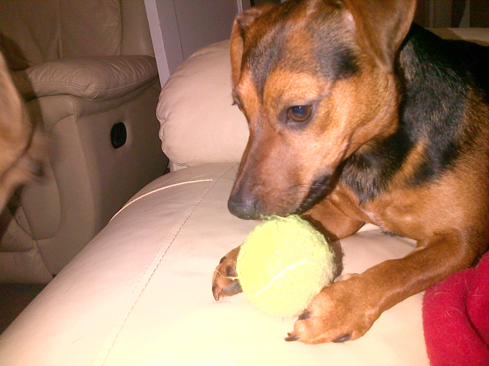 Playing Ball