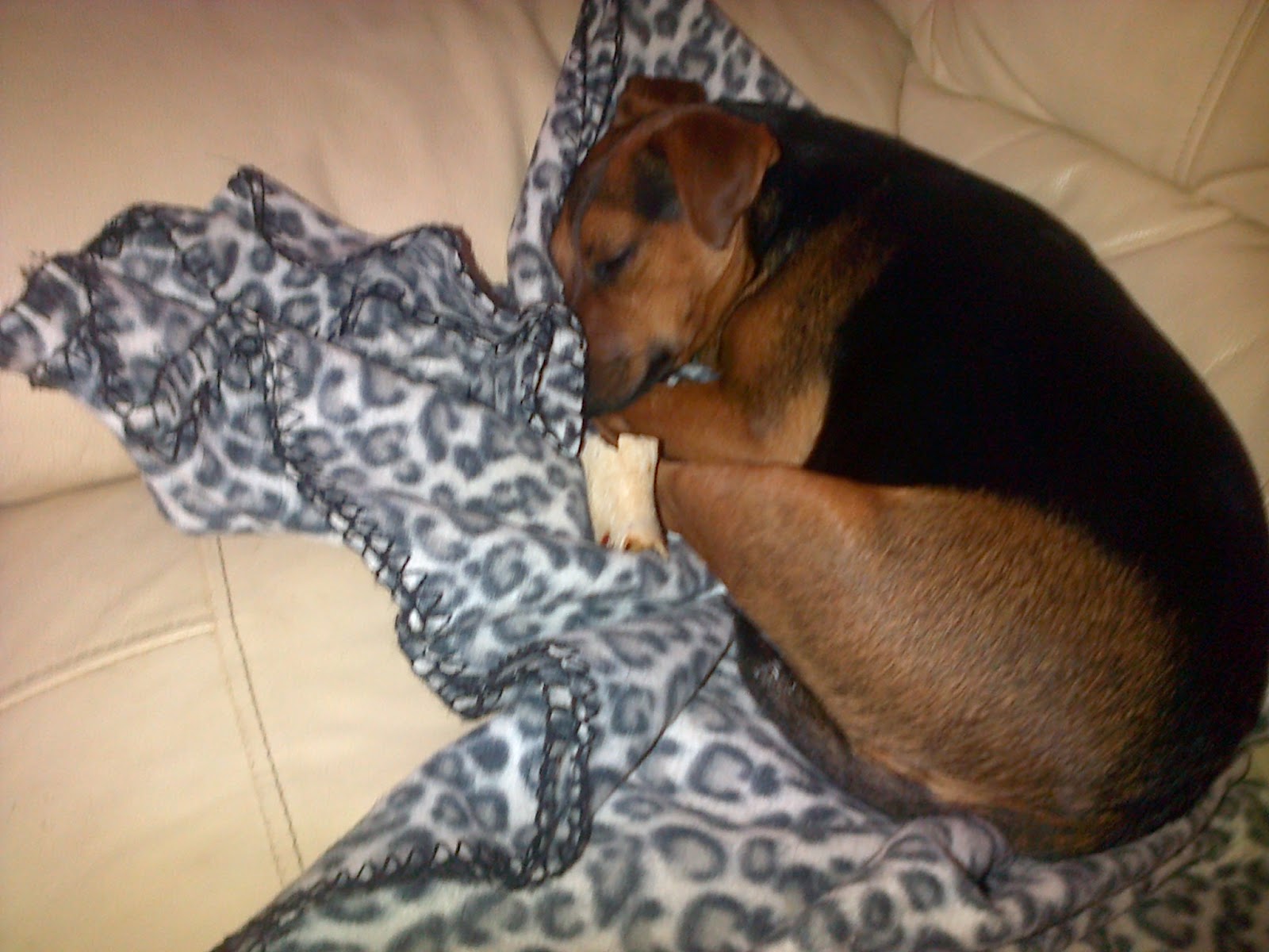 Sleepies