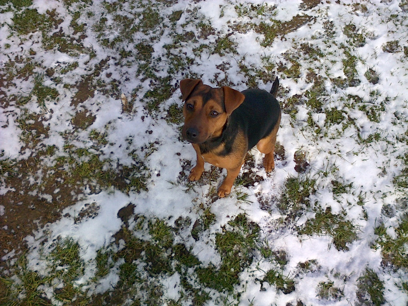 Snow!