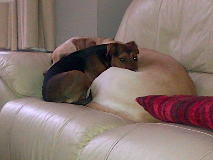 Snuggling with Buster