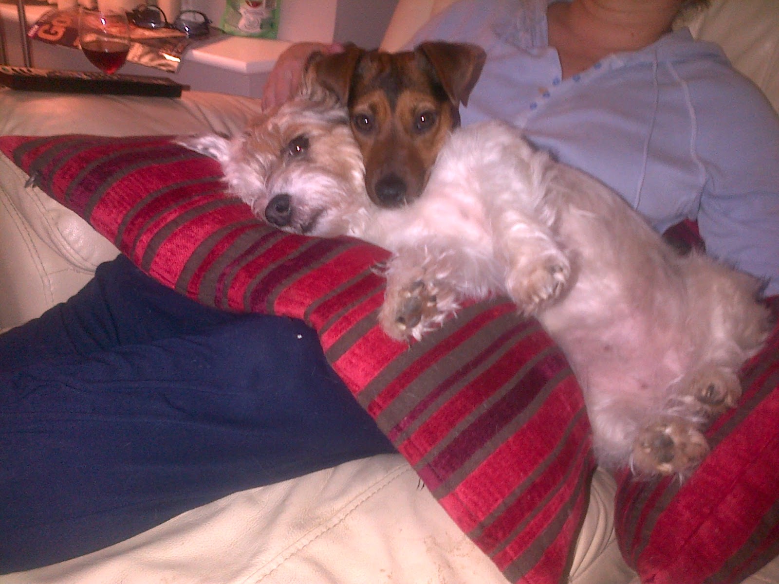 Snuggling with Dolly