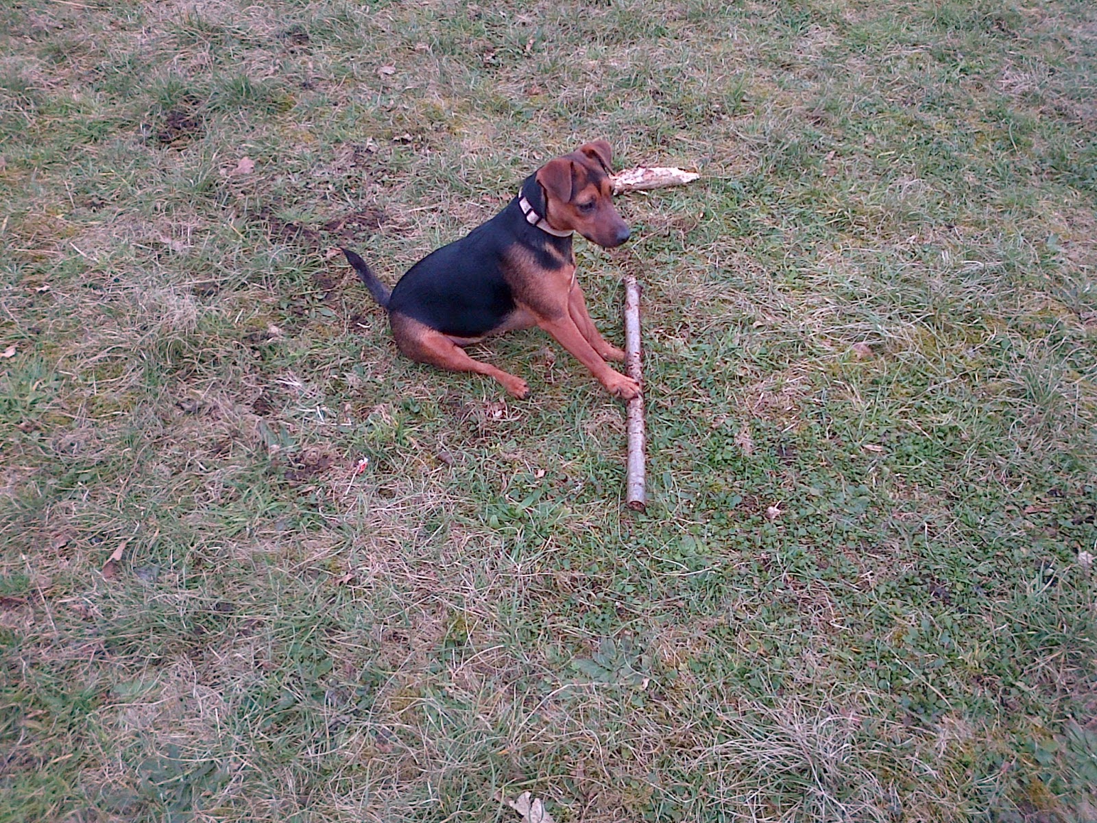 This is me with a stick