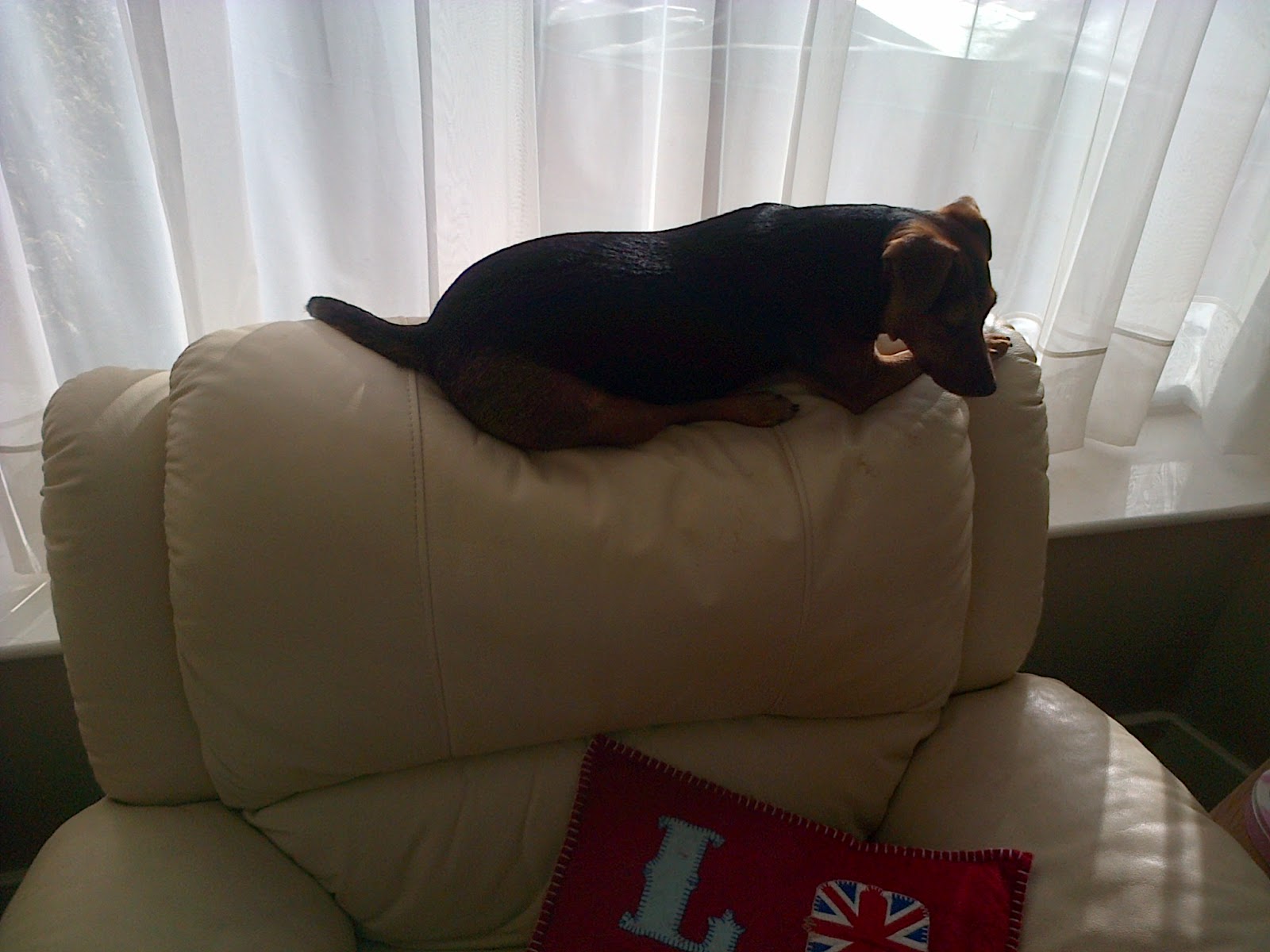 Sunbathing