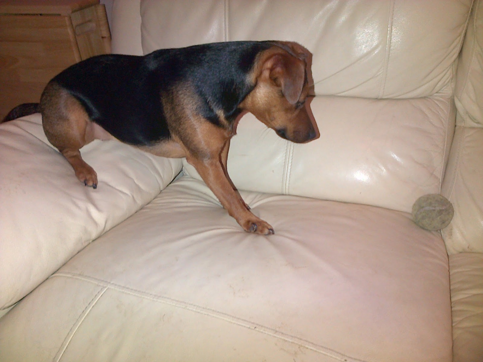 Waiting for ball