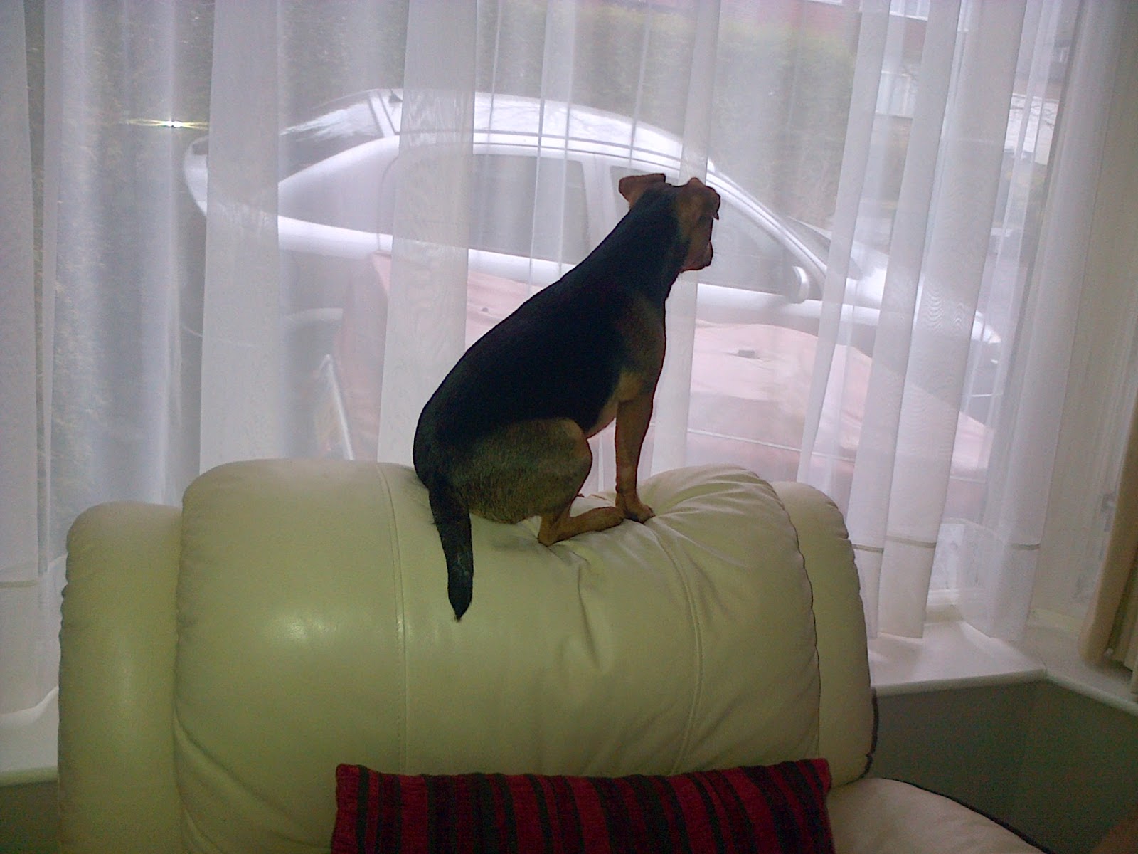 Looking out for Mummy